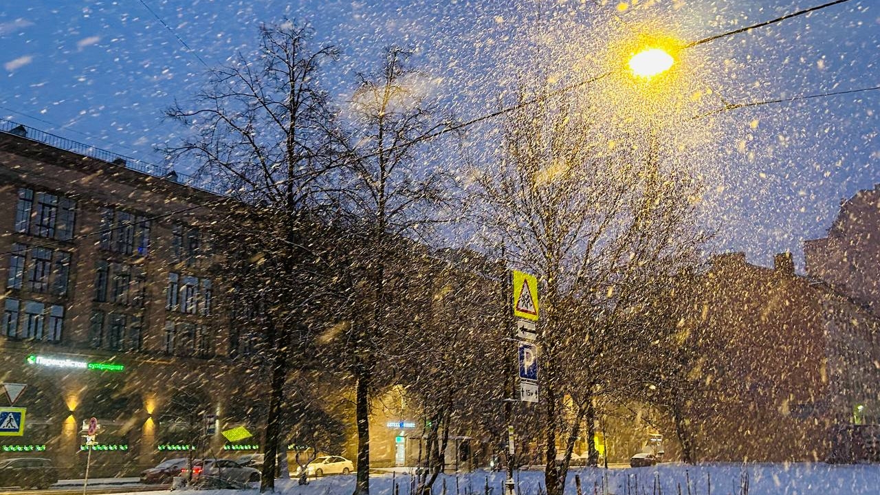 В середине весны в Петербург пришли холода и снег