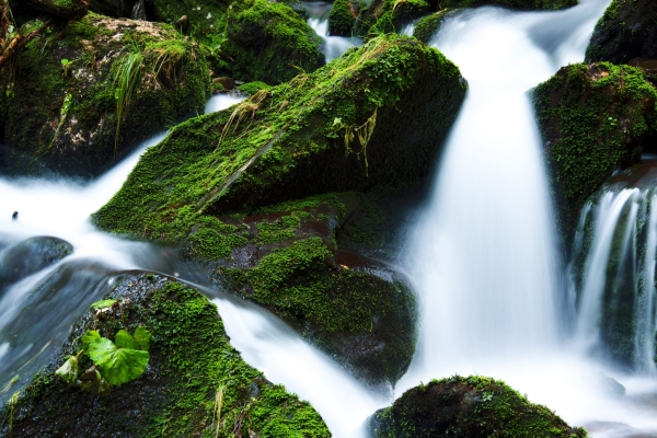 Эксперты рассказали о самых красивых водопадах Ленобласти