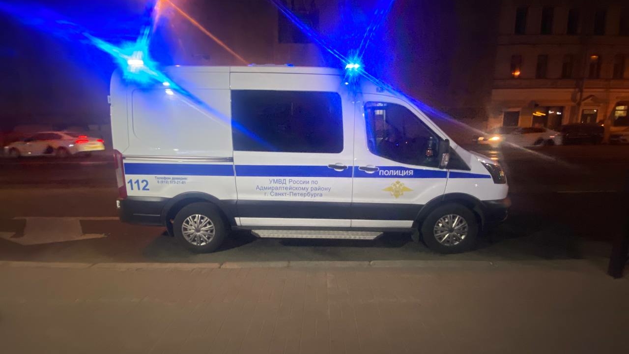 В Петербурге полиция задержала злоумышленника, пытавшегося придушить ребенка на спортивной площадке