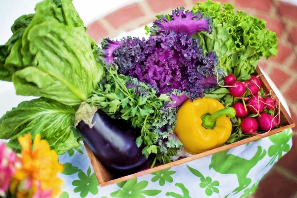 Кулинарный блогер рассказала, как варить овощи, чтобы они оставались полезными