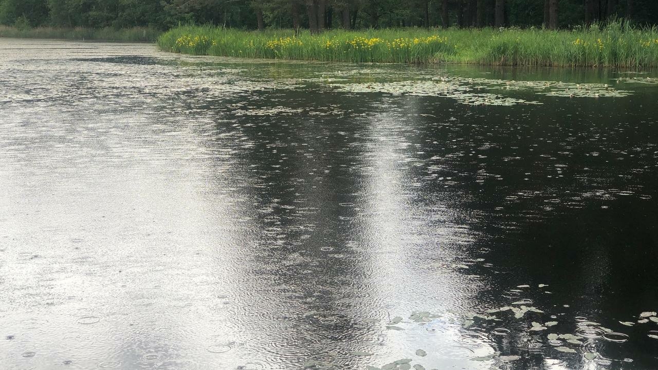 Петербург ждет пасмурная и дождливая погода