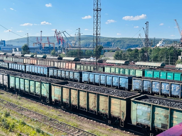 Петербург расширяет экспортные горизонты, поставляя местные товары в Бразилию и Венесуэлу