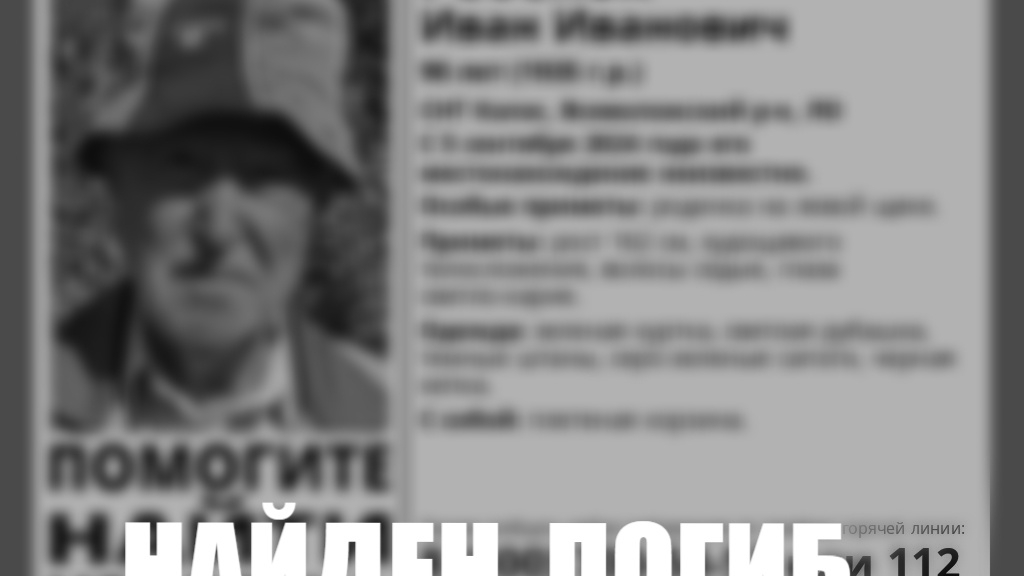 В лесу под Петербургом нашли труп 90-летнего грибника, пропавшего в начале осени