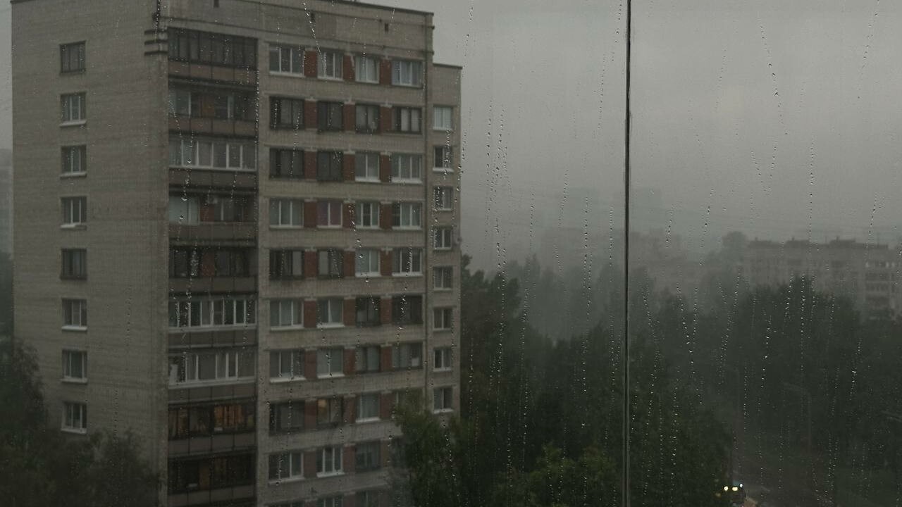 В Петербурге испортится погода: петербуржцев ждут грозы и ливни