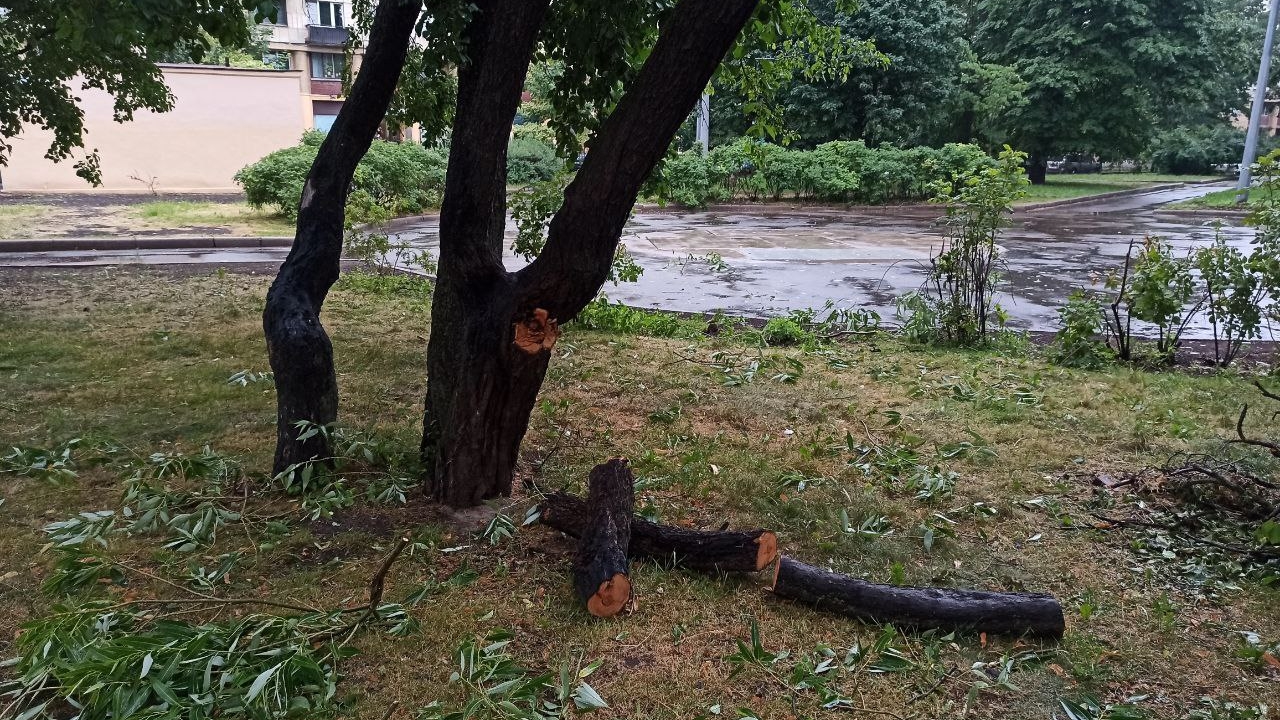 В Петербурге после сильного урагана наконец-то открыли Александровский парк