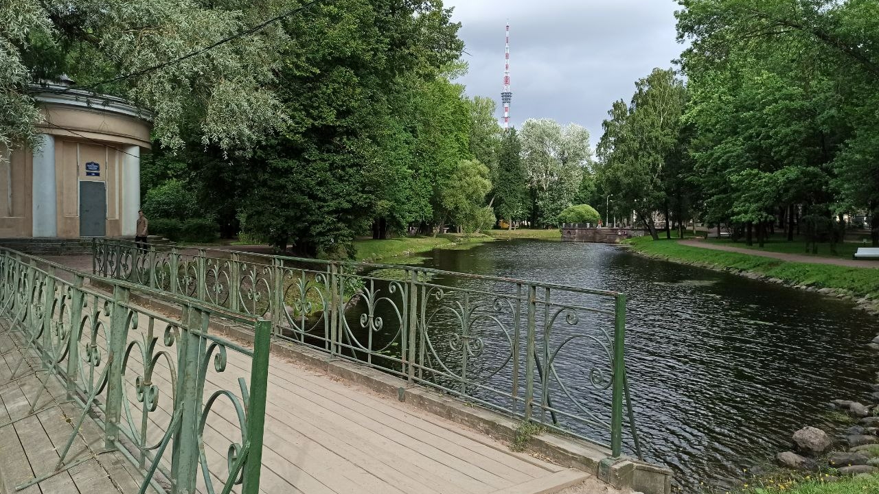 Озеленение Петербурга: в городе высадят больше 13 тысяч кустарников