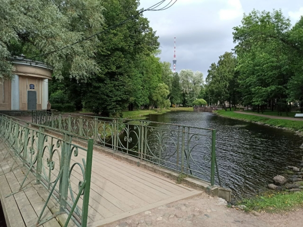 Озеленение Петербурга: в городе высадят больше 13 тысяч кустарников