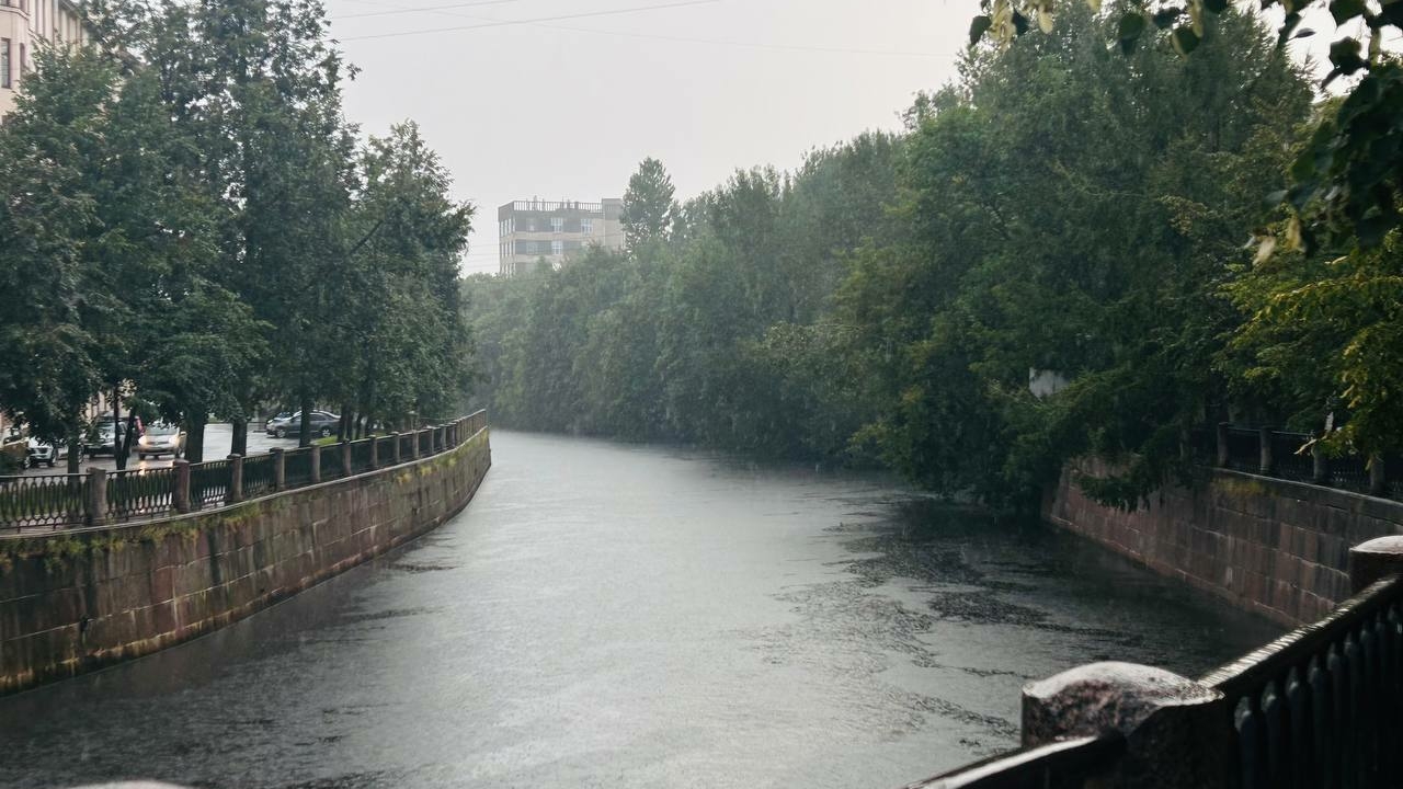 В Петербург придут дождливые ветреные дни