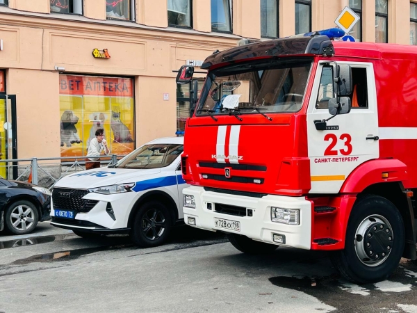 Небольшой пожар произошел у метро Проспект Просвещения