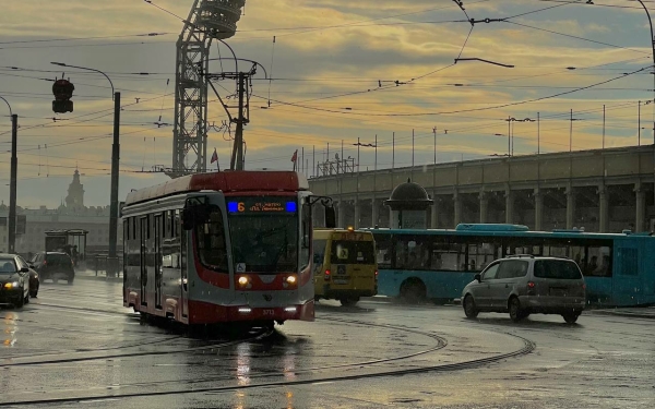Синоптики пообещали Петербургу дожди с грозами и сильным ветром в воскресенье