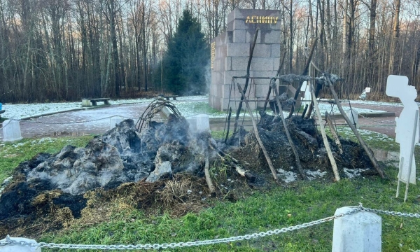 Поджог или случайность? В Сестрорецке сгорел шалаш Ленина