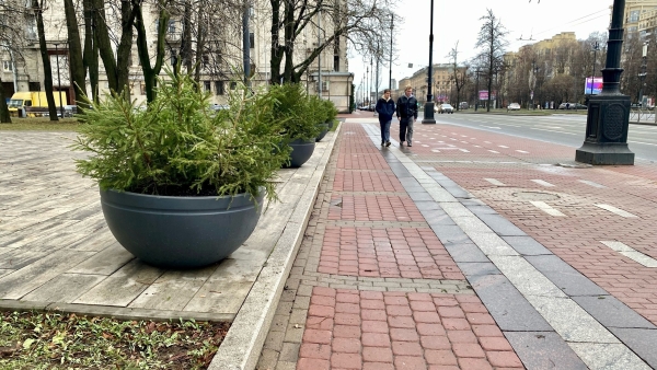 Новогодний Петербург: улицы и площади украшают хвойные композиции