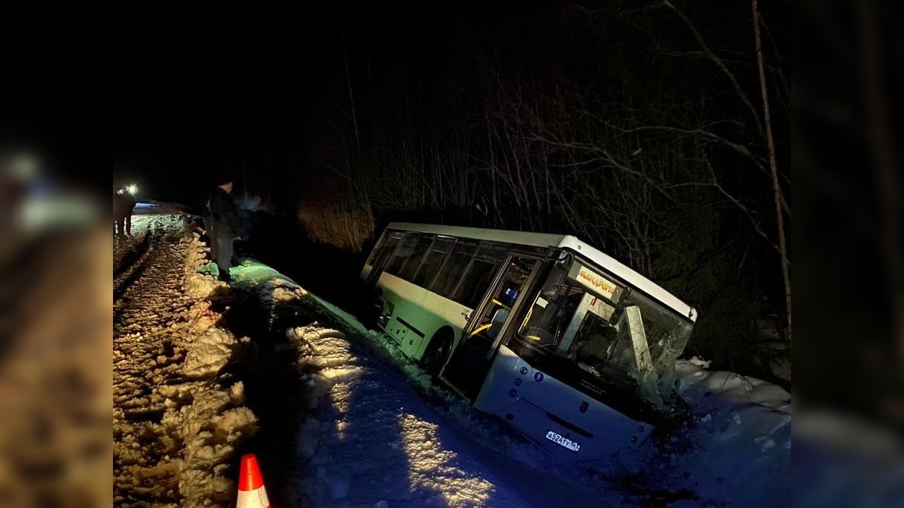 Автобус съехал в кювет: пострадали шесть человек