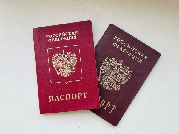 Порядка 250 тысяч петербуржцев не могут покинуть страну из-за долгов