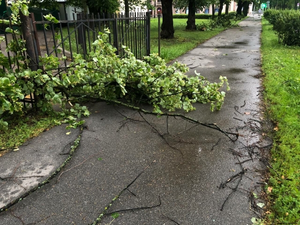 Суббота в Петербурге будет ветреной и дождливой