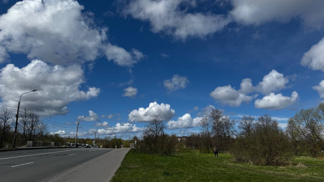 Лето началось прохладно: в Петербурге потеплеет до +20°C и выше