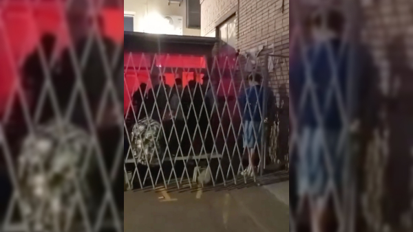 Бессонные ночи на Петроградской: власти бездействуют, а бар продолжает шуметь