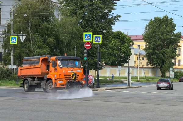 Дорожные шампуни: профессиональный стандарт чистоты на автомагистралях Петербурга
