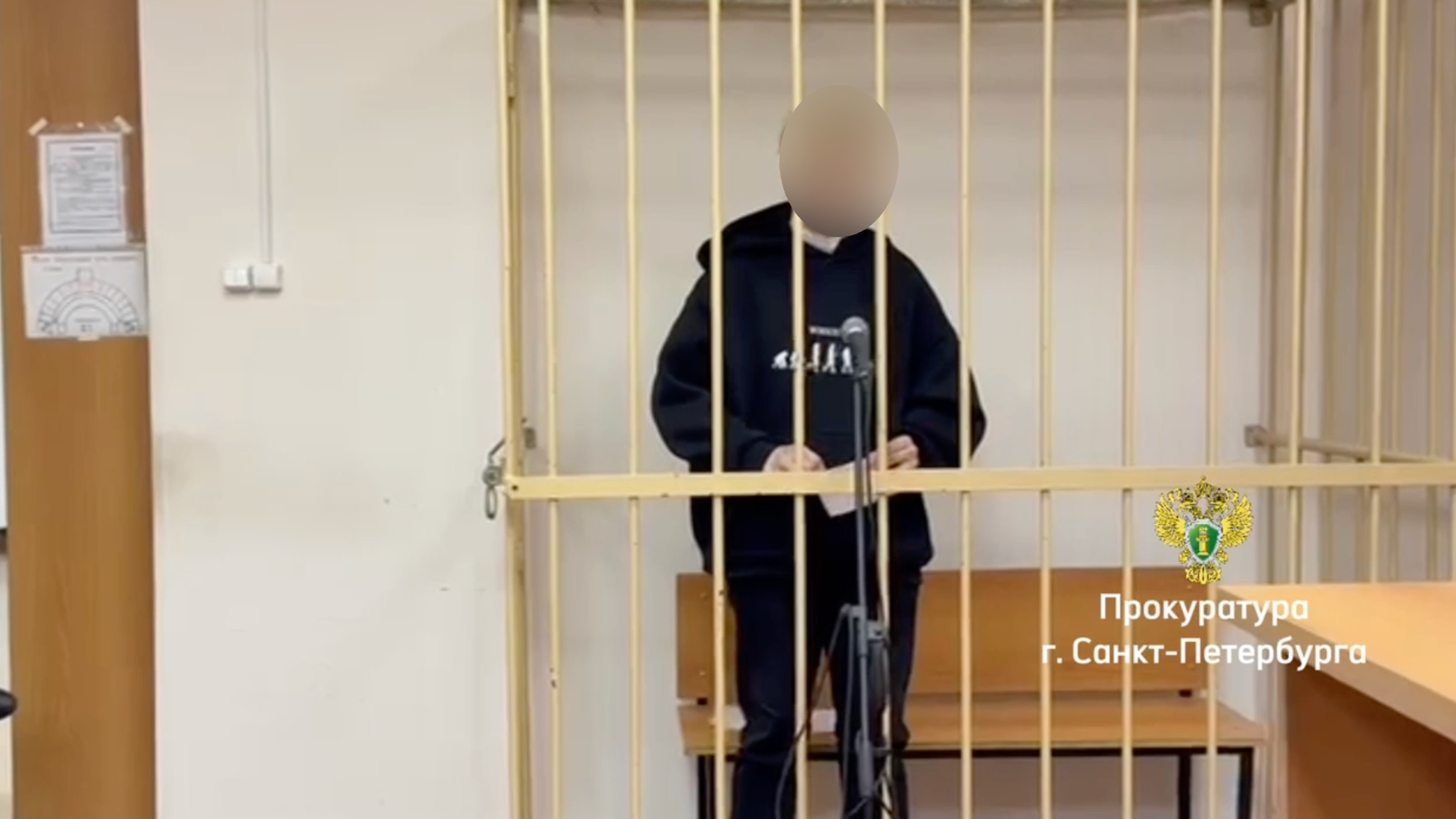 Петербургский суд арестовал мужчину, зарезавшего 18-летнюю студентку