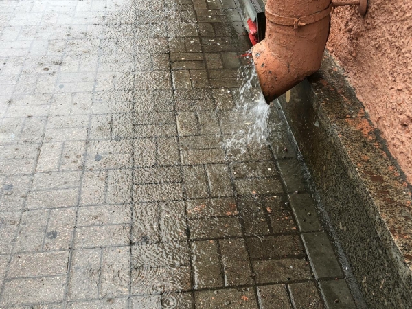 Водоканал подготовил Петербург к ливням и сильному ветру