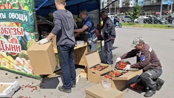 Тонна изъятых продуктов: как в Петербурге наводят порядок с уличной торговлей