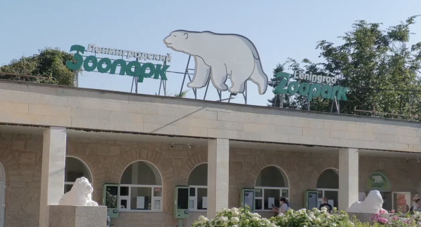 В Смольном решили развивать Ленинградский зоопарк