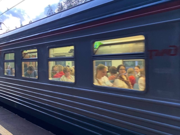 Электрички задерживаются более чем на час на участке от Новой Деревни до Лисьего Носа