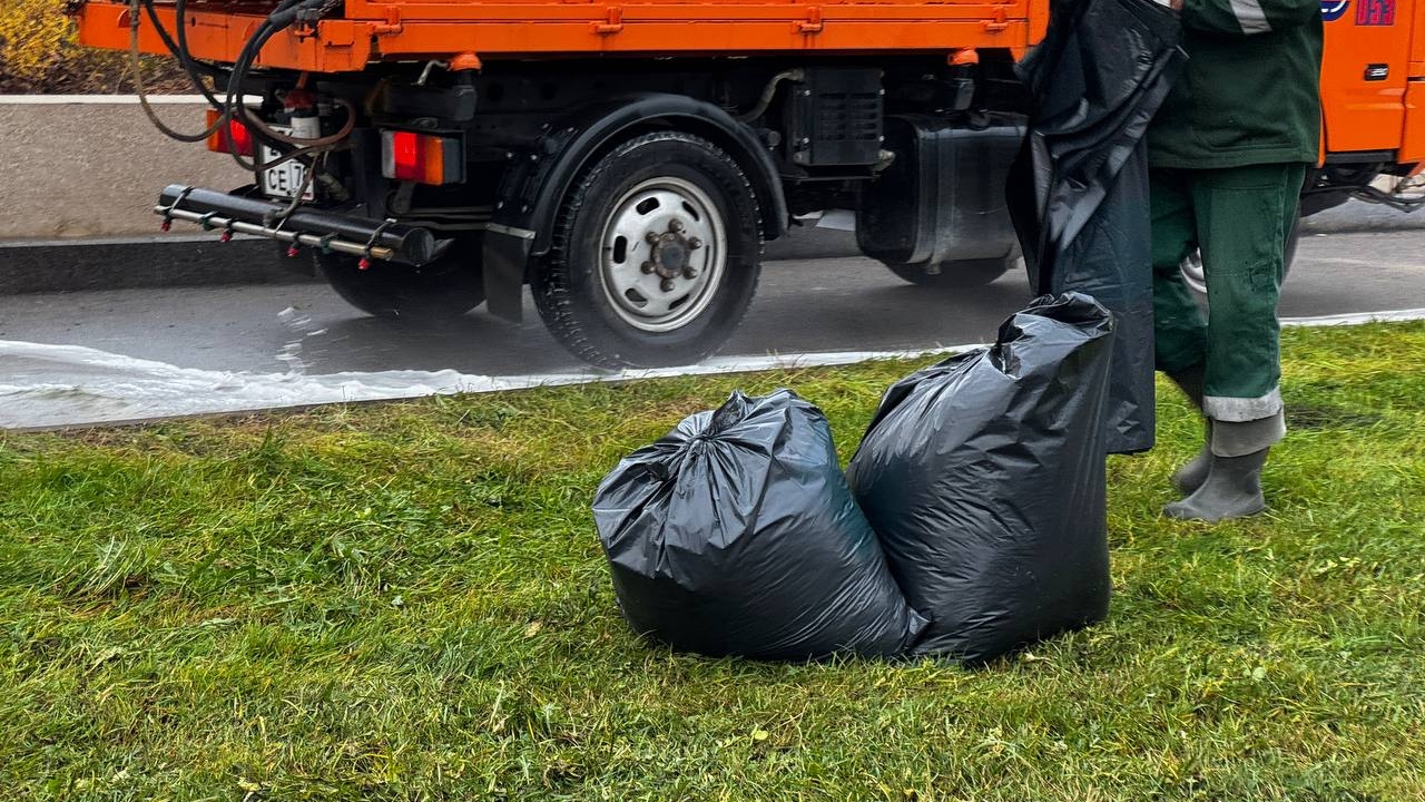 В Петербурге стартовала осенняя уборка городских территорий