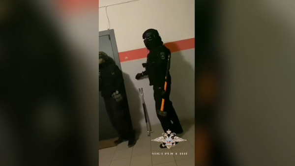 В Петербурге задержали подозреваемых в мошенничестве со страховкой