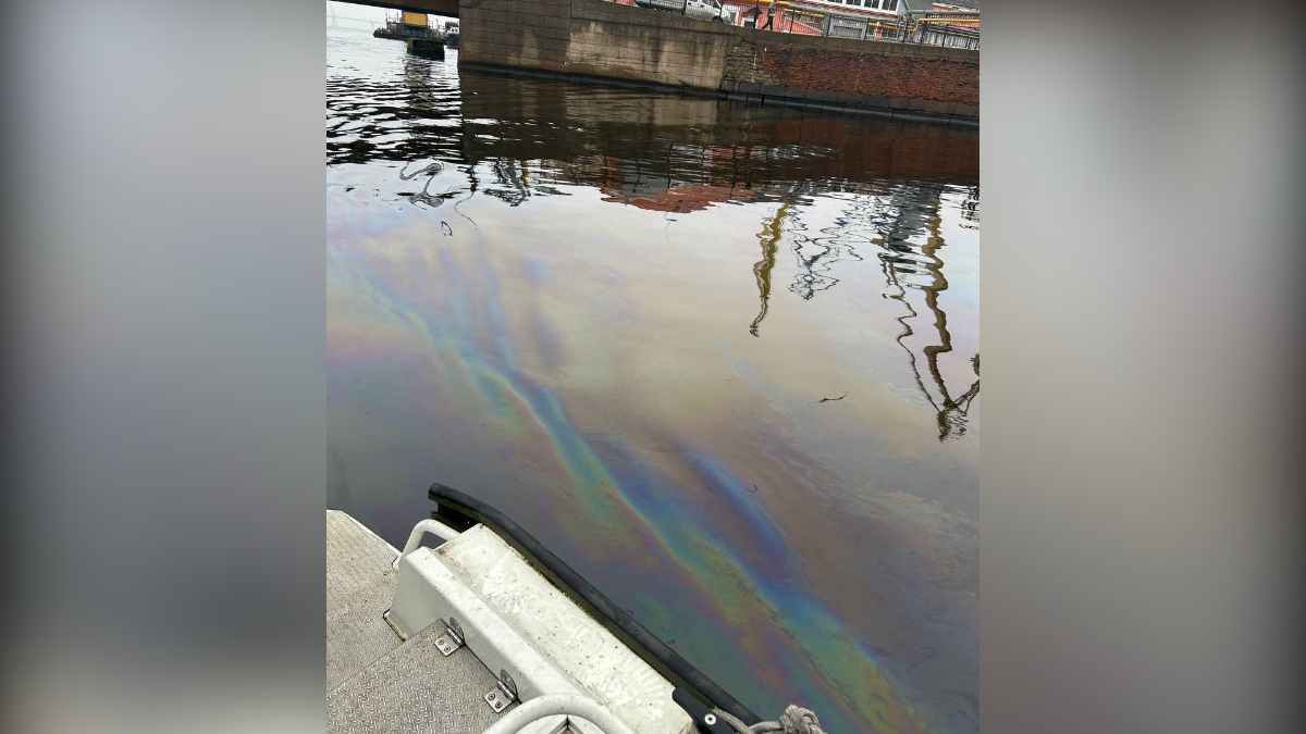 Фонтанка покрылась разливами нефти