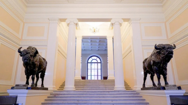 Зубры на месте: завершено восстановление парадного вестибюля в доме Пашкова в Петербурге