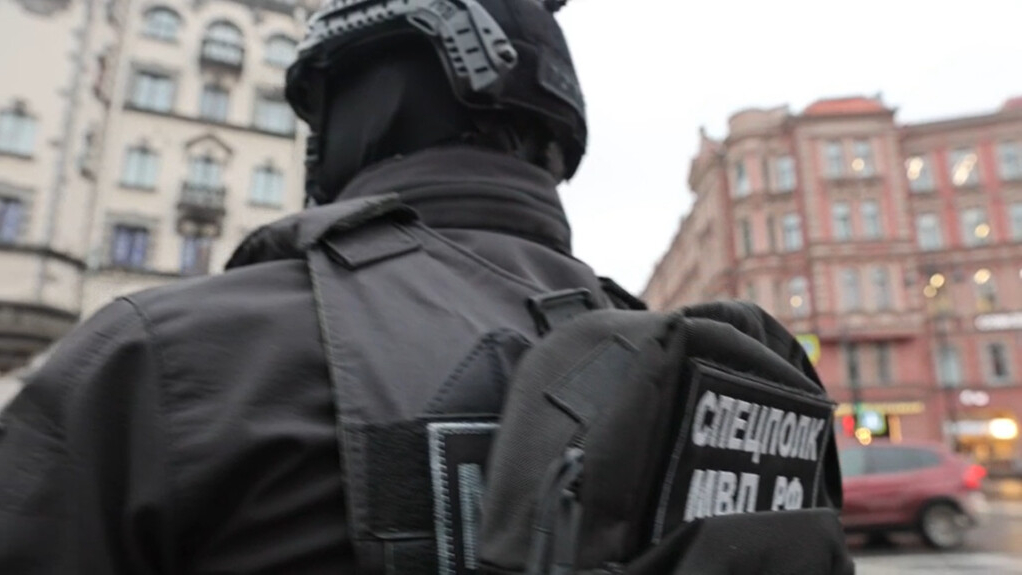 Полиция проверила почти 500 машин и более 700 человек в центре Петербурга