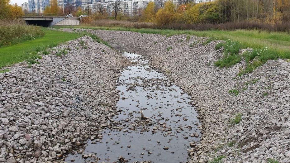В Охте обнаружили высокое загрязнение воды и превышение токсичных веществ