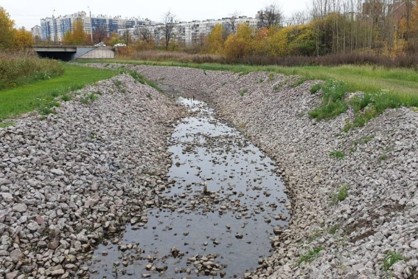 В Охте обнаружили высокое загрязнение воды и превышение токсичных веществ