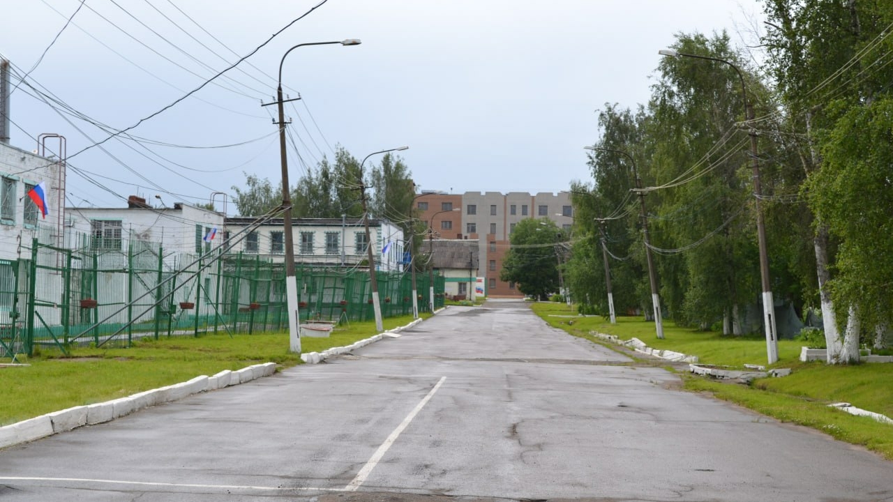 Адвокат Полит рассказала об условиях и помехах для УДО