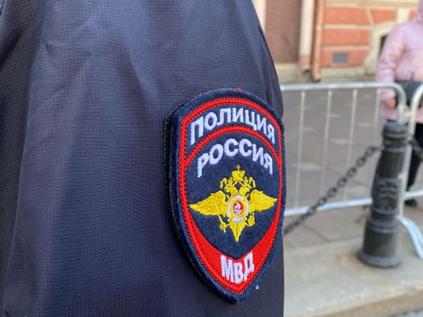 В Петербурге задержали группу промышлявших разбоем и нападениями мигрантов