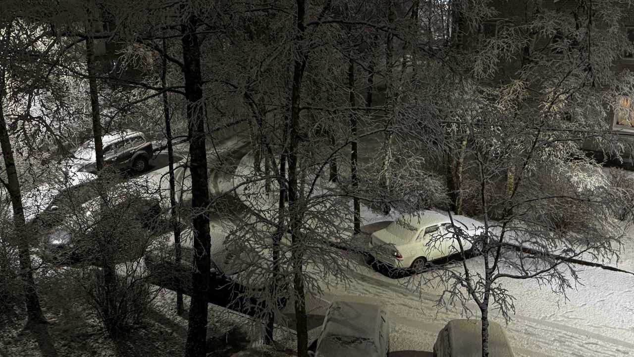 Петербург встречает стихию: к снегу присоединится сильный порывистый ветер