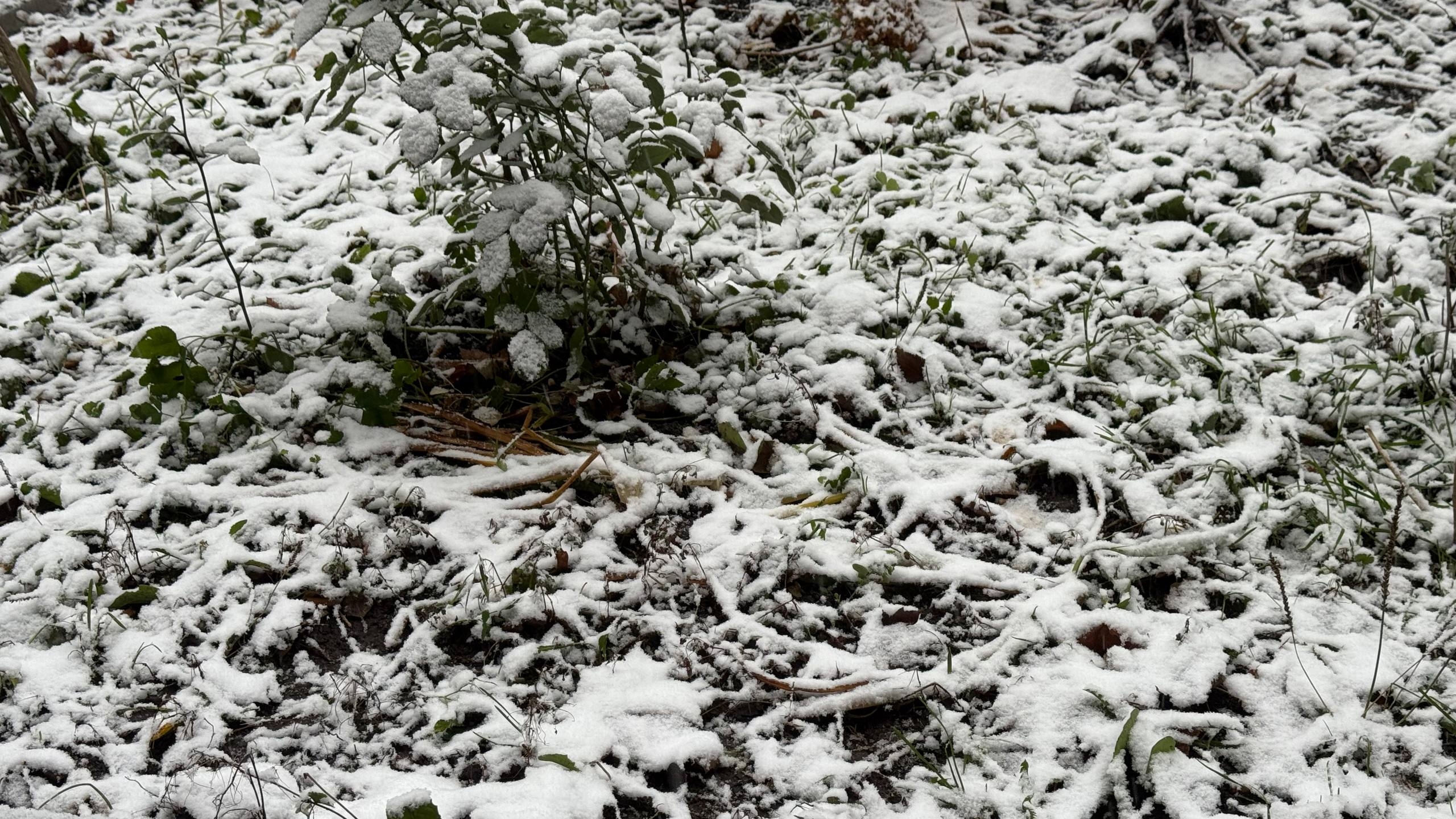Синоптики предупредили о мокром снеге и гололеде в Петербурге