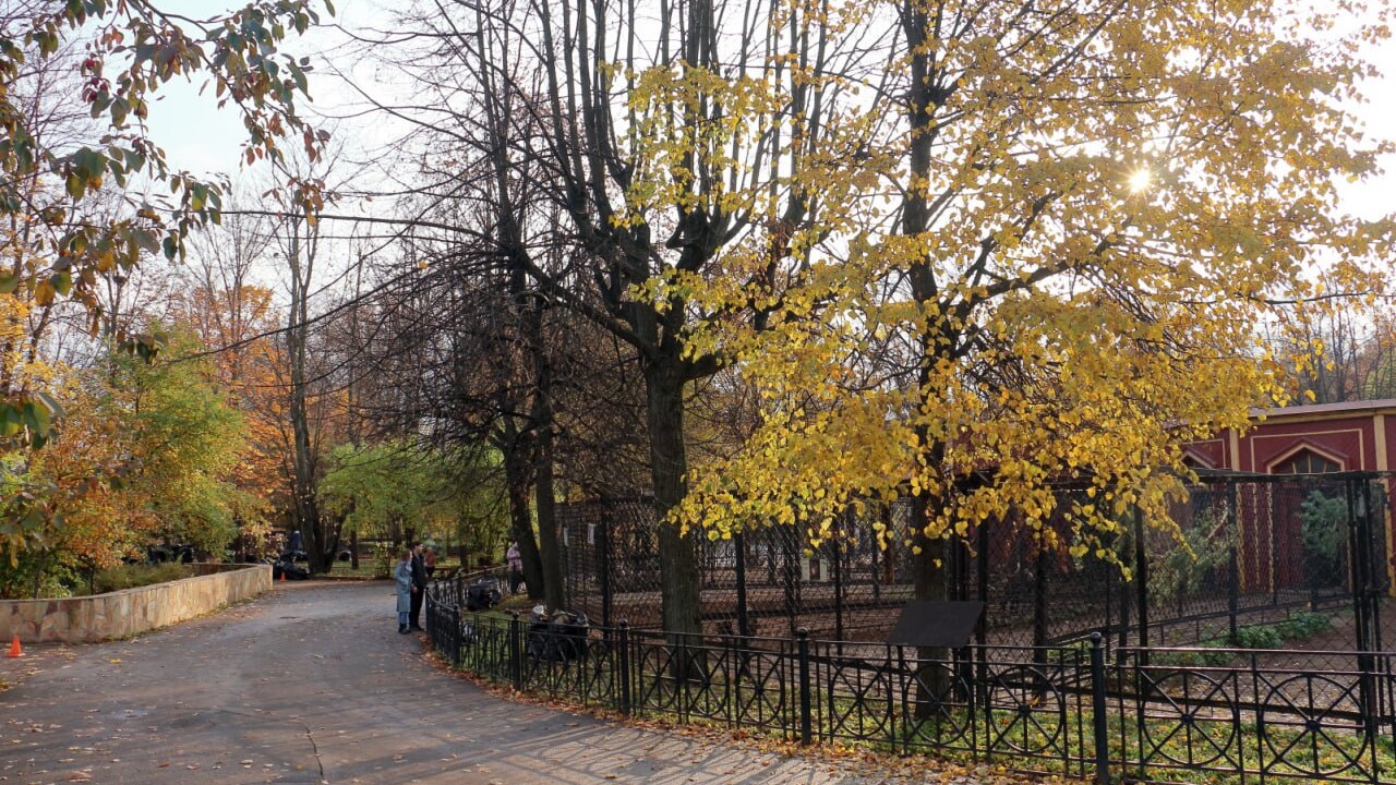 Жираф в Ленинградском зоопарке скоро сможет переехать в отремонтированный вольер