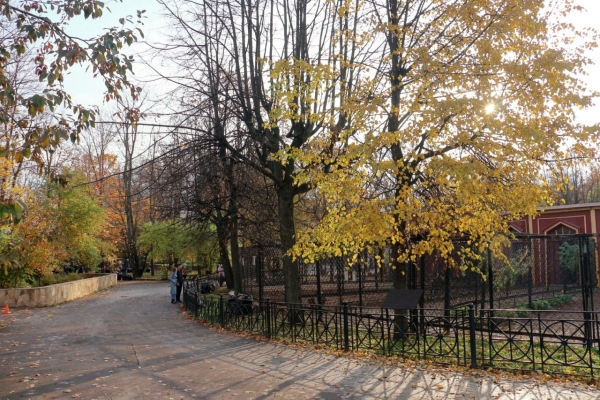 Жираф в Ленинградском зоопарке скоро сможет переехать в отремонтированный вольер