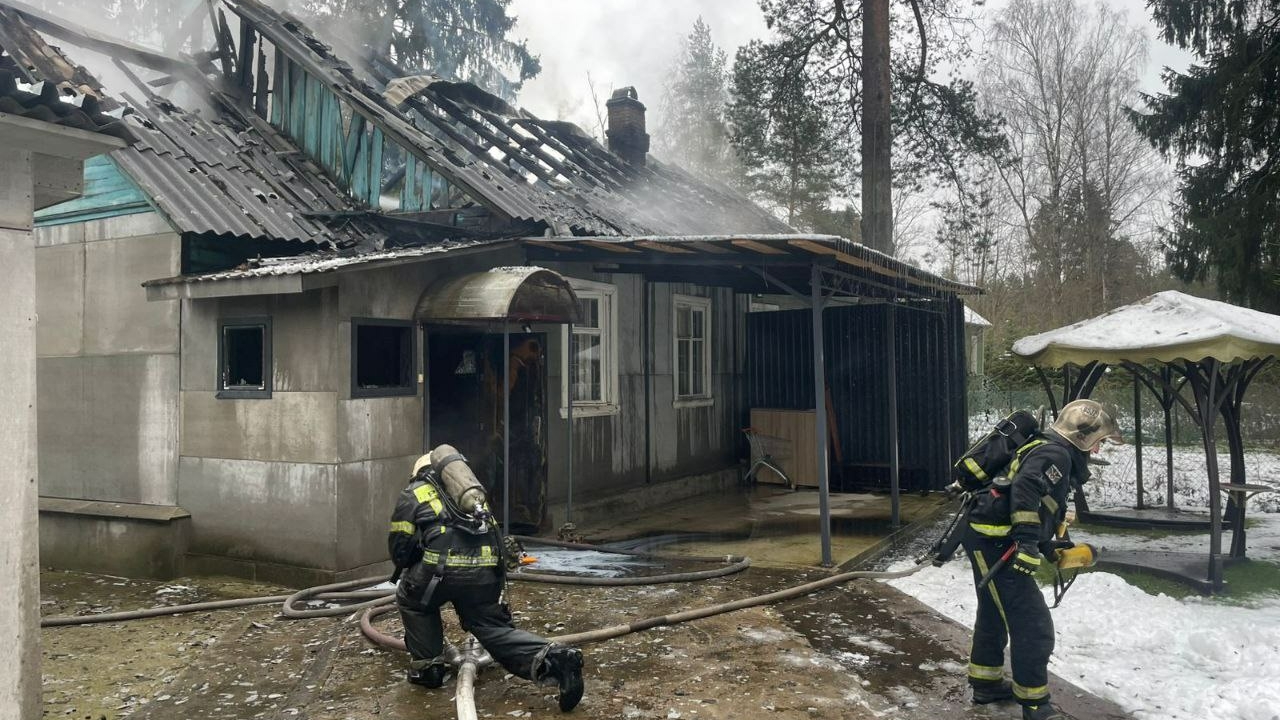 Ленинградские спасатели поделились статистикой за минувшую неделю