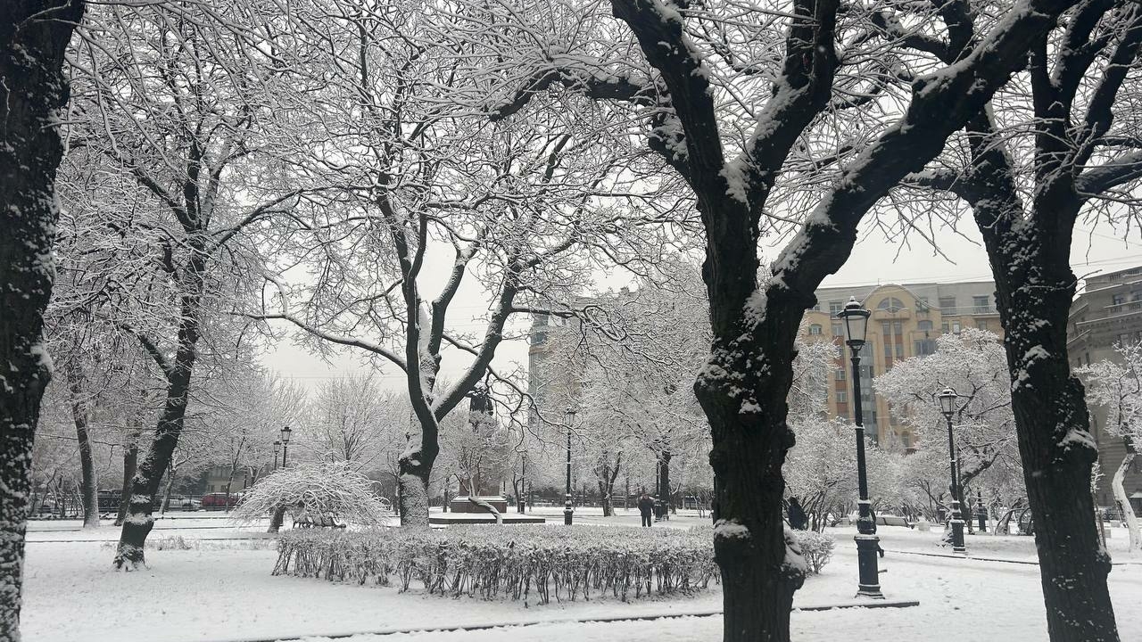 Снег и слякоть: новый циклон принесет потепление к конце недели