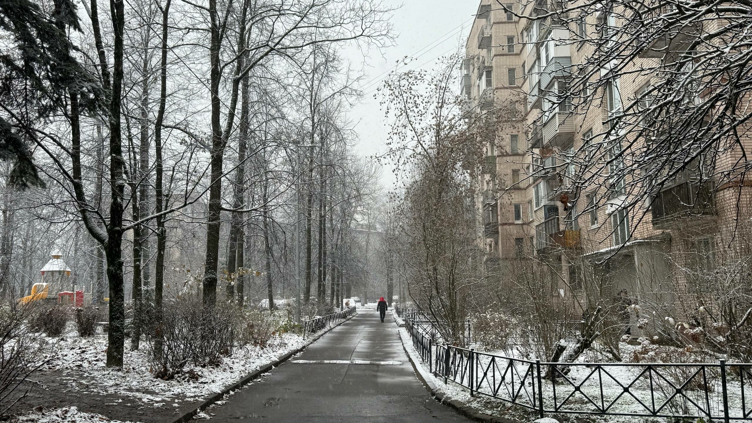 В Санкт-Петербург придут теплые выходные после самого холодного дня осени