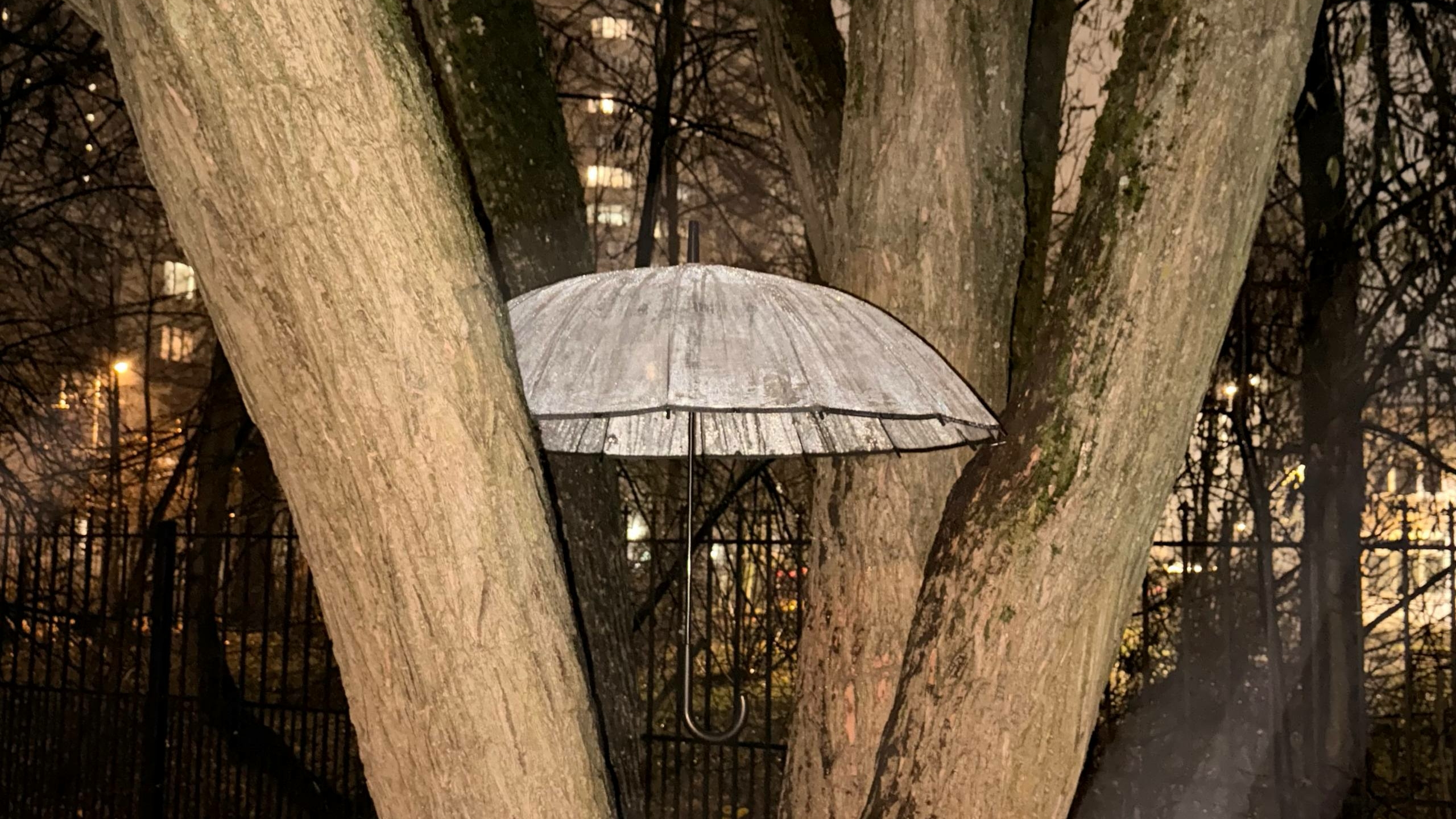 В Петербурге ожидают возвращения зимы с началом новой недели