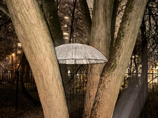 В Петербурге ожидают возвращения зимы с началом новой недели