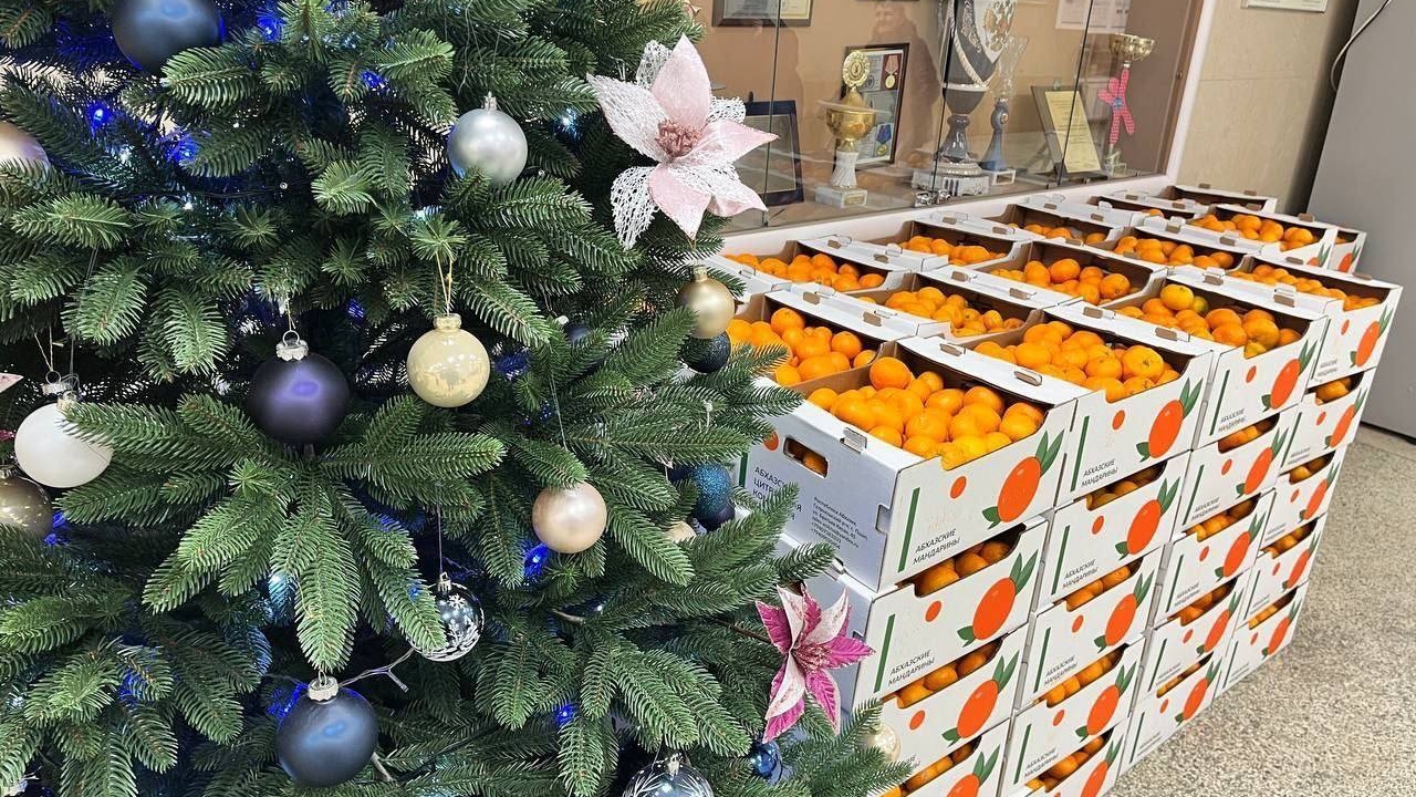 Абхазия поздравила Петербург с Новым годом 10-ю тоннами мандаринов