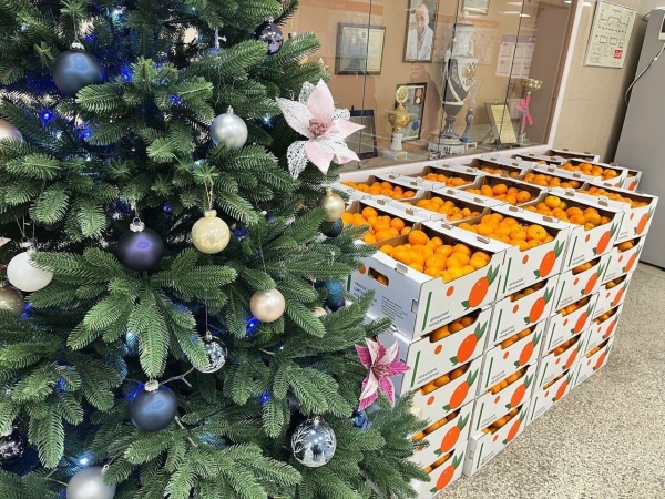 Абхазия поздравила Петербург с Новым годом 10-ю тоннами мандаринов