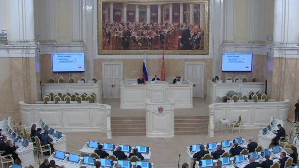 Депутаты Петербурга приняли законопроект о повышении выплаты опекунам детей