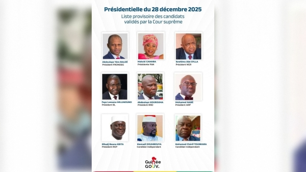 В Петербурге состоится голосование для граждан Гвинейской республики