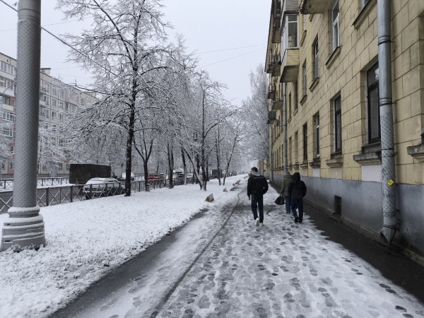 Синоптики обещают морозы и отдельные снегопады в Петербурге